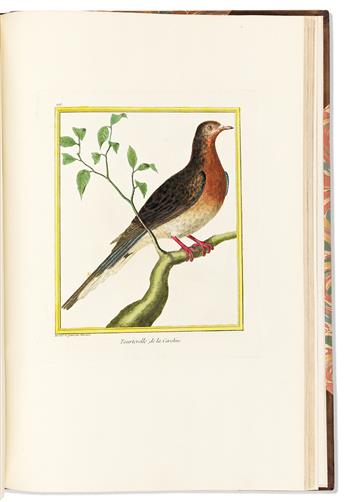 (BIRDS.) Francois Nicolas Martinet; and Edme Louis Daubenton. Bound volume of 100 large paper hand-colored engraved plates from